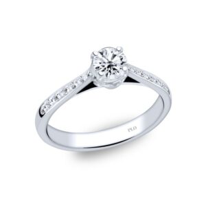 anillo